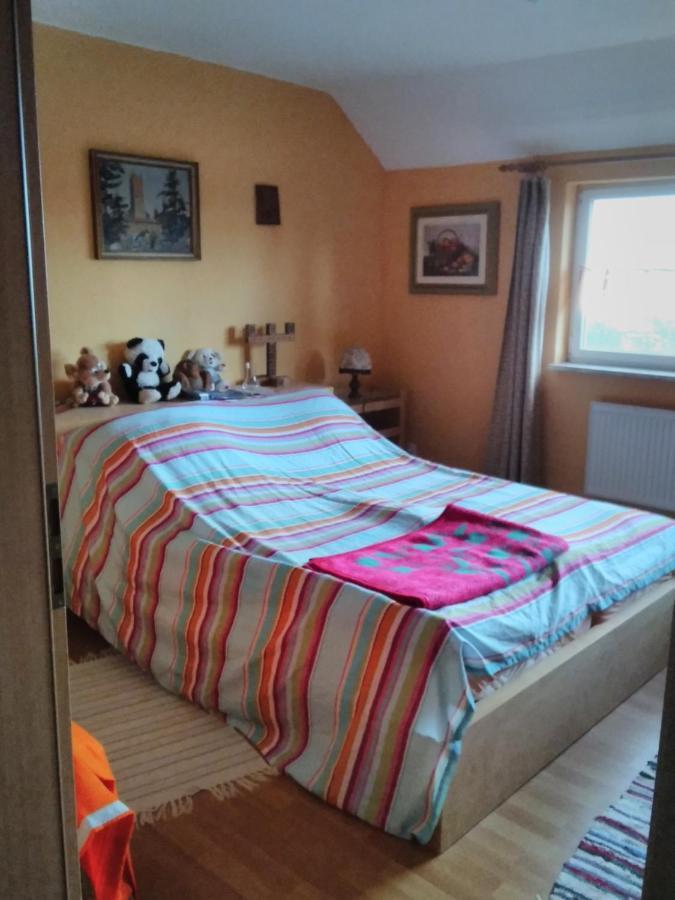 Ferienwohnung Heidi Selb Extérieur photo